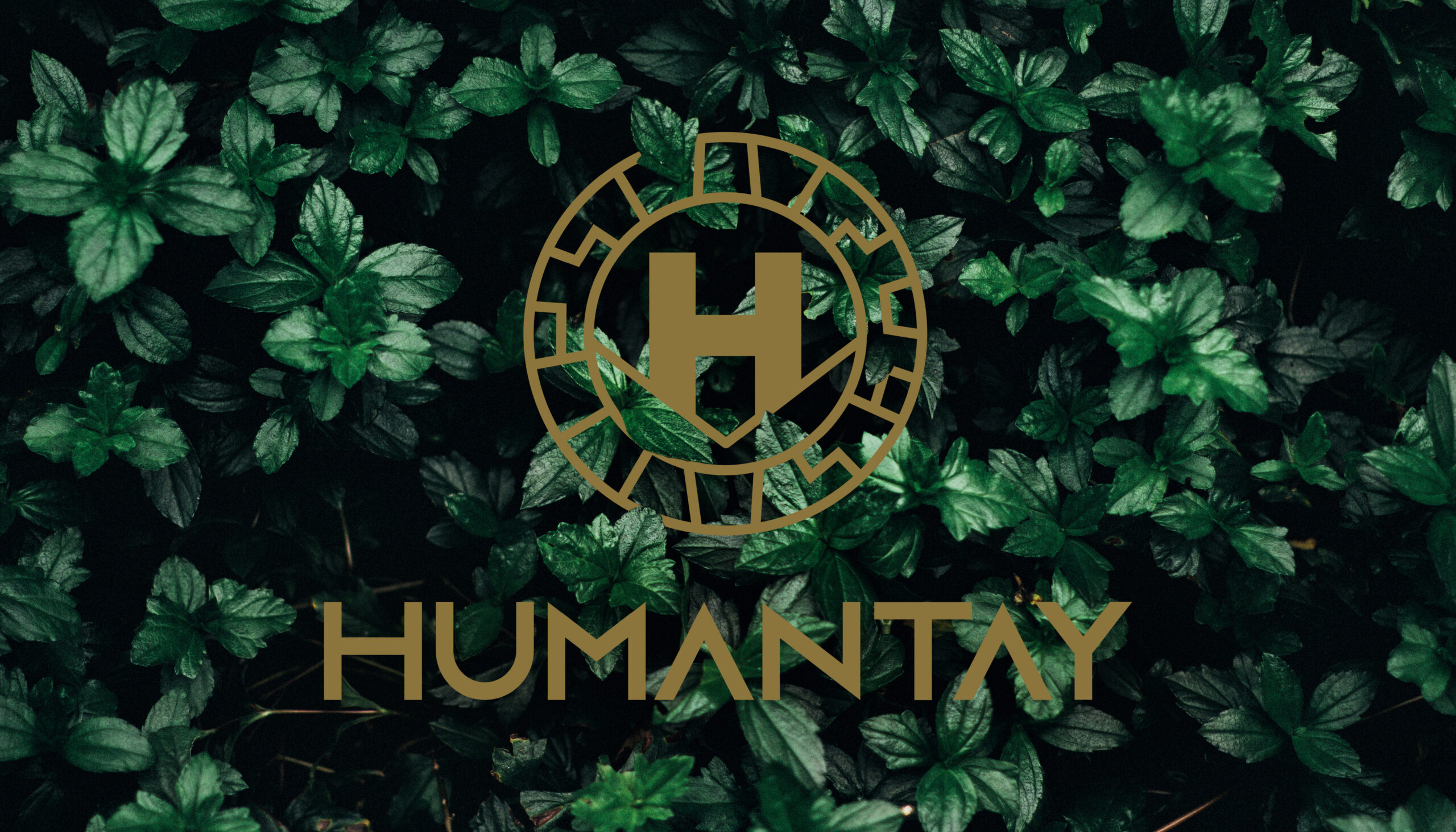 BEHANCE